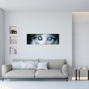 Obraz mačky, žiarivé oči (Obraz 90x30cm)