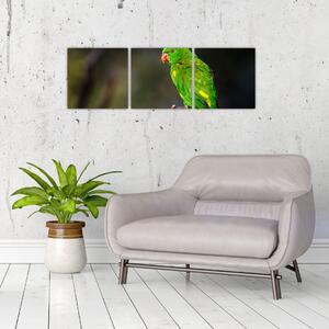 Obraz zeleného papagája (Obraz 90x30cm)