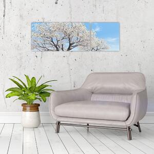 Obraz kvitnúceho stromu na jarné lúke (Obraz 90x30cm)