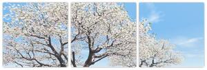 Obraz kvitnúceho stromu na jarné lúke (Obraz 90x30cm)
