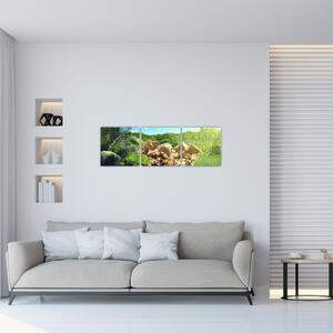 Obraz jazera na Seychelách (Obraz 90x30cm)