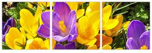 Obraz kvety (Obraz 90x30cm)