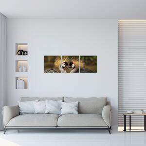 Obraz na stenu - zvieratá (Obraz 90x30cm)