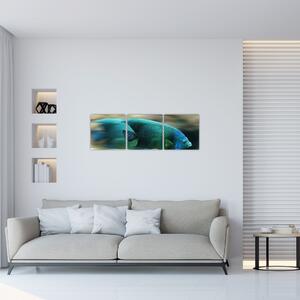 Obraz na stenu - ryby (Obraz 90x30cm)
