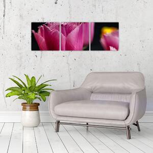 Tulipány - obrazy (Obraz 90x30cm)