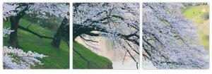 Obraz kvitnúcich stromov (Obraz 90x30cm)