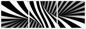 Čiernobiely abstraktný obraz (Obraz 90x30cm)