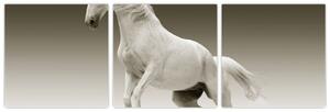 Obrazy bieleho koňa (Obraz 90x30cm)