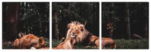Obrazy - levy v lese (Obraz 90x30cm)