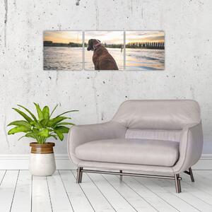 Obraz - sediaci pes (Obraz 90x30cm)