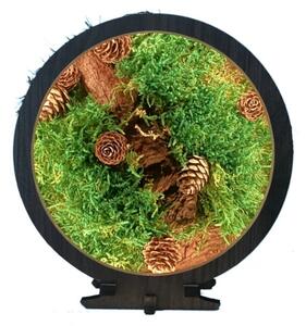 Li-Go 23654 - LED Stmievateľná stolná dekorácia LED/12W/230V 20x22 cm mach