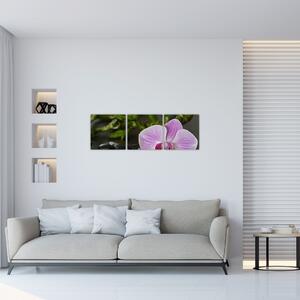 Moderný obraz kvetu (Obraz 90x30cm)