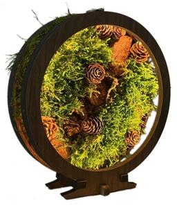Li-Go 23654 - LED Stmievateľná stolná dekorácia LED/12W/230V 20x22 cm mach