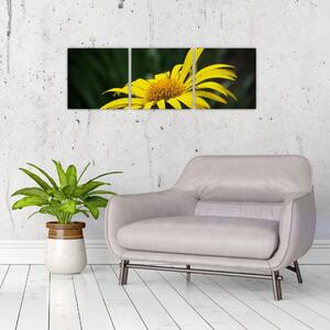 Obraz žltého kvetu (Obraz 90x30cm)