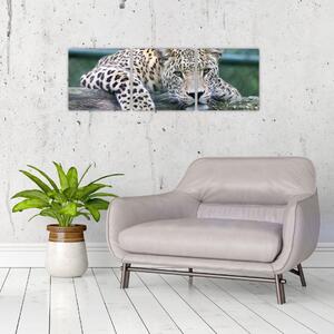 Obraz leopard (Obraz 90x30cm)