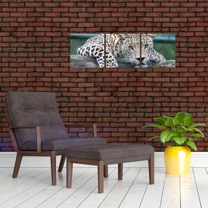 Obraz leopard (Obraz 90x30cm)