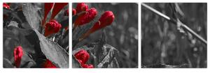 Červené kvety - moderné obrazy (Obraz 90x30cm)