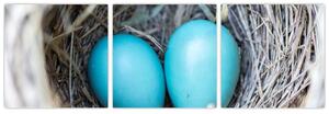 Obraz modrých vajíčok v hniezde (Obraz 90x30cm)