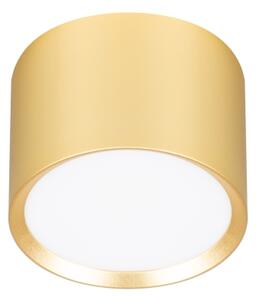 Brilagi - LED Bodové svietidlo SMOOTH 1xGX53/15W/230V zlaté