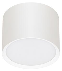 Brilagi - LED Bodové svietidlo SMOOTH 1xGX53/15W/230V biela