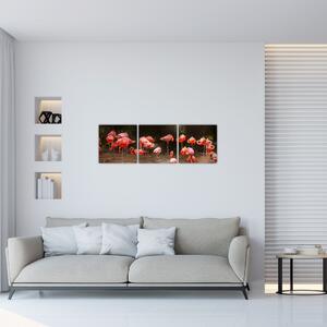 Obraz plameniakov (Obraz 90x30cm)