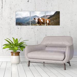 Obraz kravy na lúke (Obraz 90x30cm)