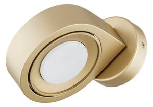 Argon 8899 - Nástenné svietidlo LOTUS 1xGX53/12W/230V zlaté