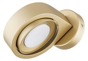 Argon 8899 - Nástenné svietidlo LOTUS 1xGX53/12W/230V zlaté