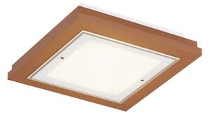 Argon 7268 - Stropné svietidlo TABOR 2xE27/15W/230V 32x32 cm terakotové