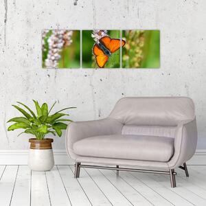 Moderný obraz motýľa na lúke (Obraz 90x30cm)