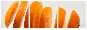 Moderný obraz - dieliky pomaranča (Obraz 90x30cm)