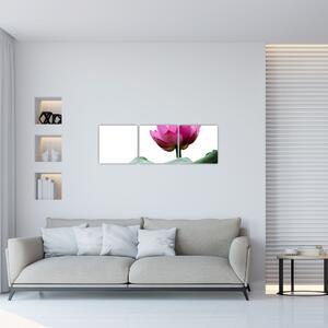 Obraz kvetu (Obraz 90x30cm)