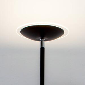 LED stojacia lampa Malea, čierna