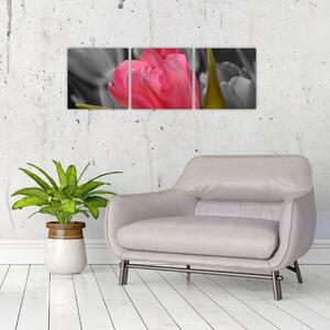 Obraz červeného tulipánu na čiernobielom pozadí (Obraz 90x30cm)