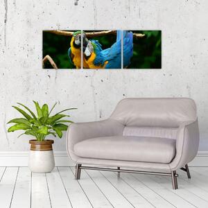 Obraz papagájov na lane (Obraz 90x30cm)