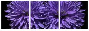 Obraz fialových kvetov (Obraz 90x30cm)