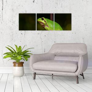 Obraz žaby (Obraz 90x30cm)