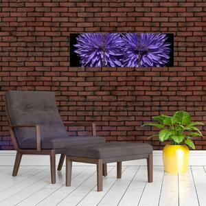 Obraz fialových kvetov (Obraz 90x30cm)