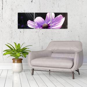 Obraz fialového kvetu (Obraz 90x30cm)