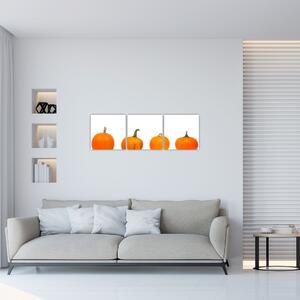 Obraz - oranžové tekvice (Obraz 90x30cm)