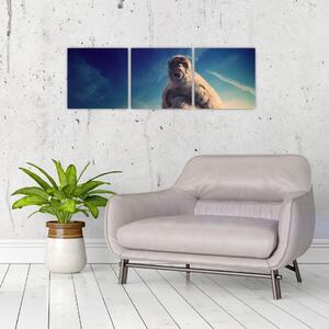 Obraz opice - obrazy zvierat (Obraz 90x30cm)