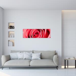 Obraz červené ruže (Obraz 90x30cm)