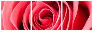 Obraz červené ruže (Obraz 90x30cm)