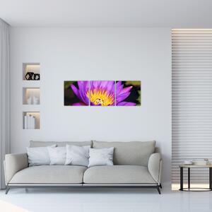 Obraz kvety (Obraz 90x30cm)