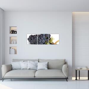 Obraz s hroznovým vínom (Obraz 90x30cm)
