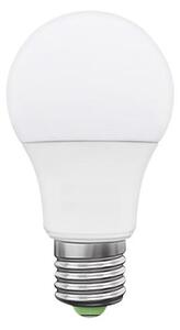 LED Žiarovka LEDSTAR ECO E27/10W/230V 3000K