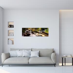 Obraz lesa na stenu (Obraz 90x30cm)