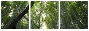 Obraz lesov (Obraz 90x30cm)