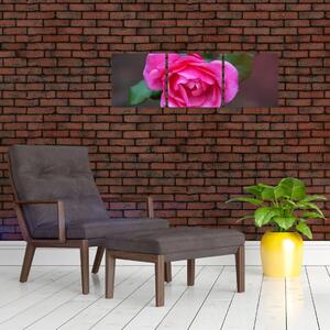 Obraz ruže na stenu (Obraz 90x30cm)