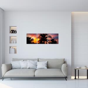 Obraz palmy na stenu (Obraz 90x30cm)